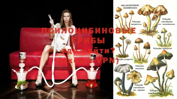 ГАЛЛЮЦИНОГЕННЫЕ ГРИБЫ Алексин