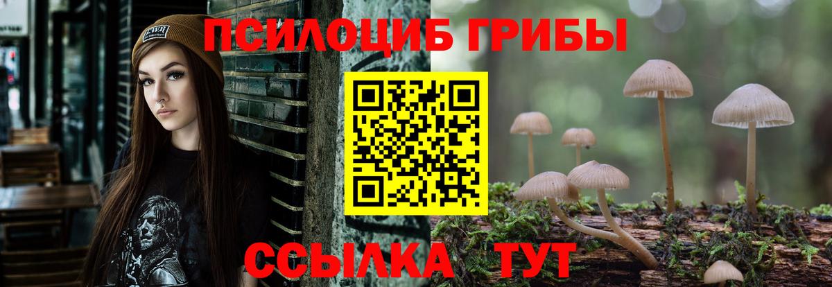 Псилоцибиновые грибы MAGIC MUSHROOMS Дедовск